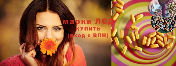 индика Ростов