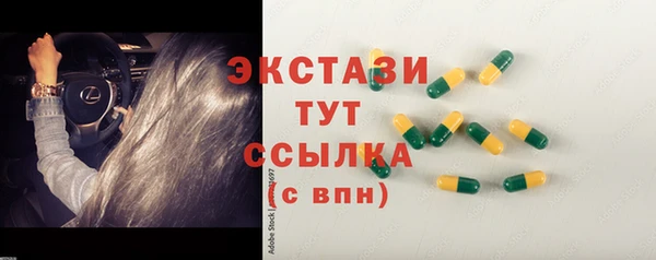 гашик Осинники